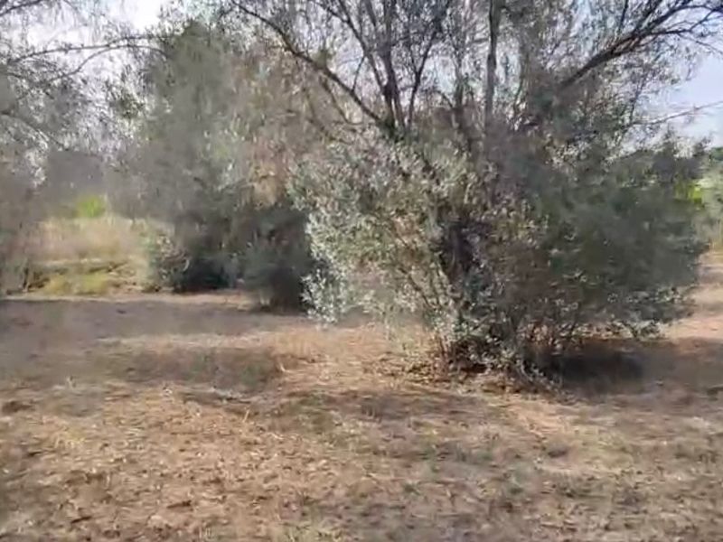 Casa rústica en venta  en Calle Beni, L'Alfàs del Pi