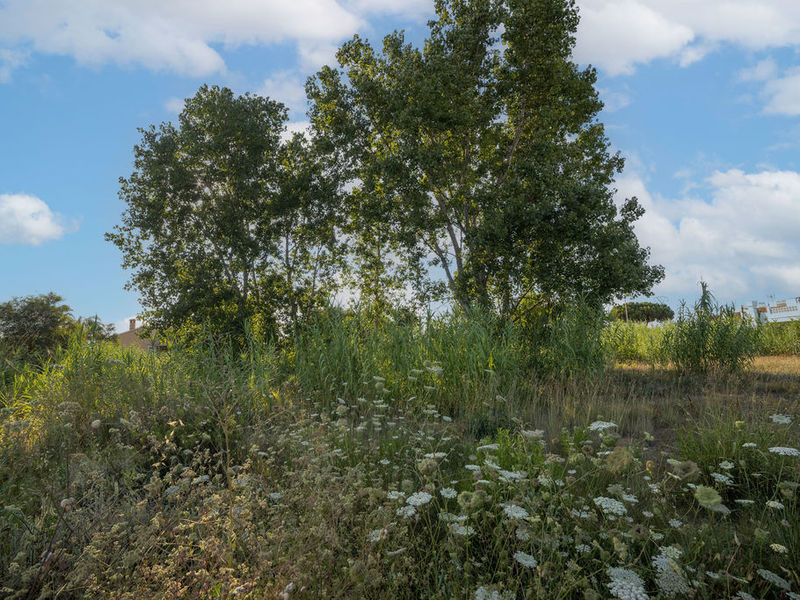 Suelo - Urbanizable en venta  en Sector RIU SENIA - LES MARINES, Dénia