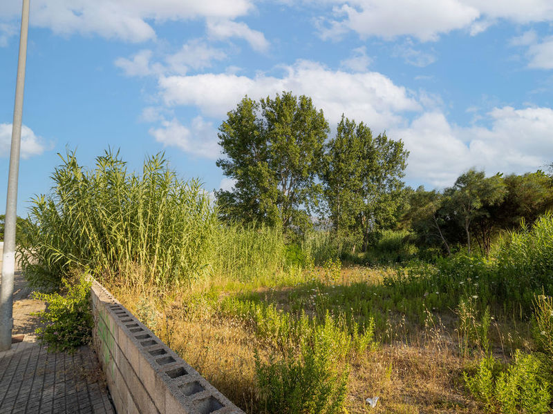 Suelo - Urbanizable en venta  en Sector RIU SENIA - LES MARINES, Dénia