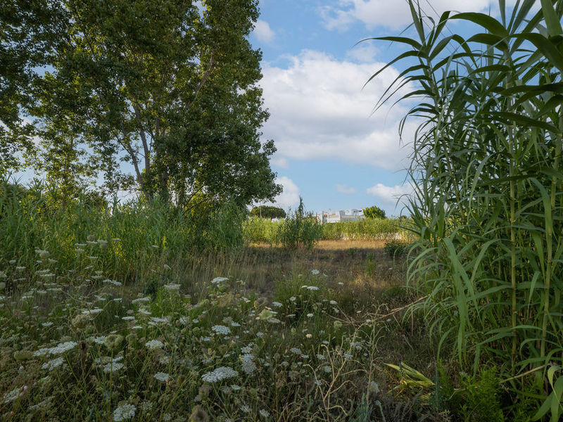 Suelo - Urbanizable en venta  en Sector RIU SENIA - LES MARINES, Dénia