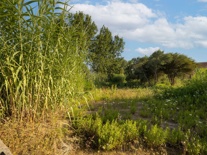 Suelo - Urbanizable en venta  en Sector RIU SENIA - LES MARINES, Dénia