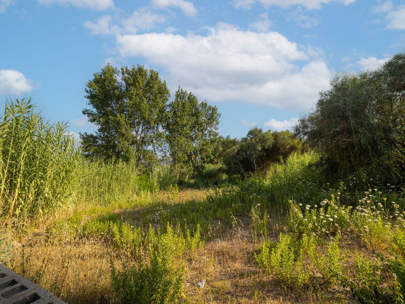 Suelo - Urbanizable en venta  en Sector RIU SENIA - LES MARINES, Dénia
