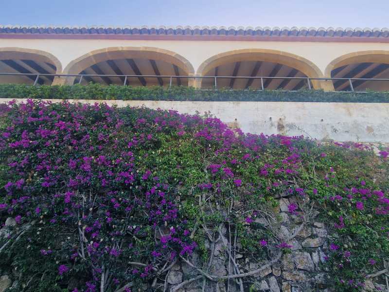 Casa en venta  en  NARANJOS, Jávea / Xàbia