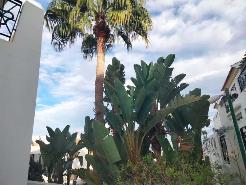 Piso en venta  en Calle Altos del Coto-Residencial  Flor de Coto, Cuevas del Almanzora Piso en venta  en Calle Altos del Coto-Residencial  Flor de Coto, Cuevas del Almanzora