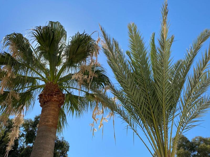 Estudio en venta  en  Extremadura, Mojácar