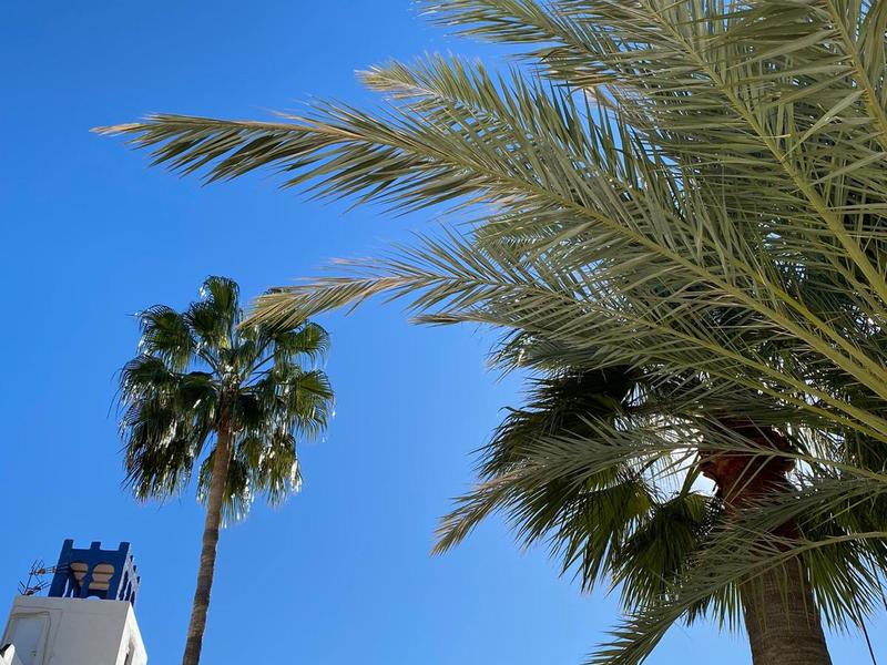 Estudio en venta  en  Extremadura, Mojácar