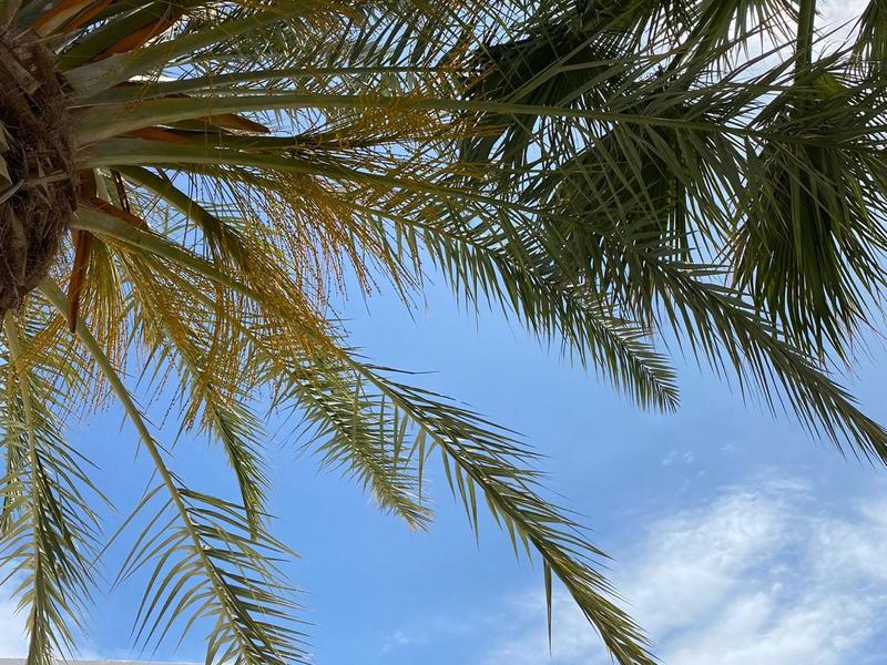 Estudio en venta  en  Extremadura, Mojácar