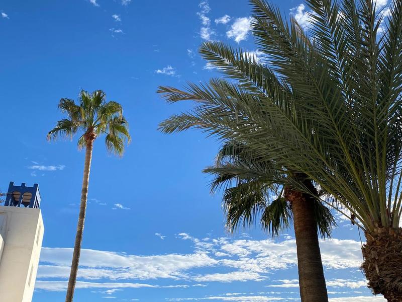 Estudio en venta  en  Extremadura, Mojácar