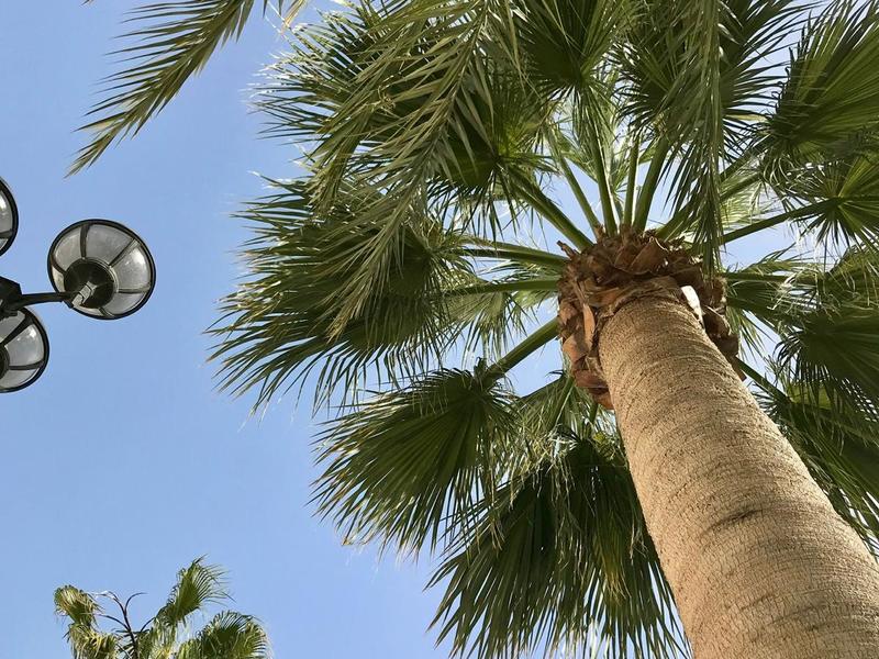 Estudio en venta  en  Extremadura, Mojácar