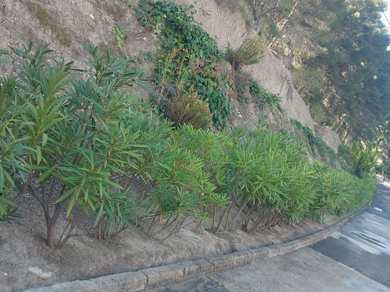 Casa rústica en venta  en  PARTIDA GUADALEST, El Castell de Guadalest