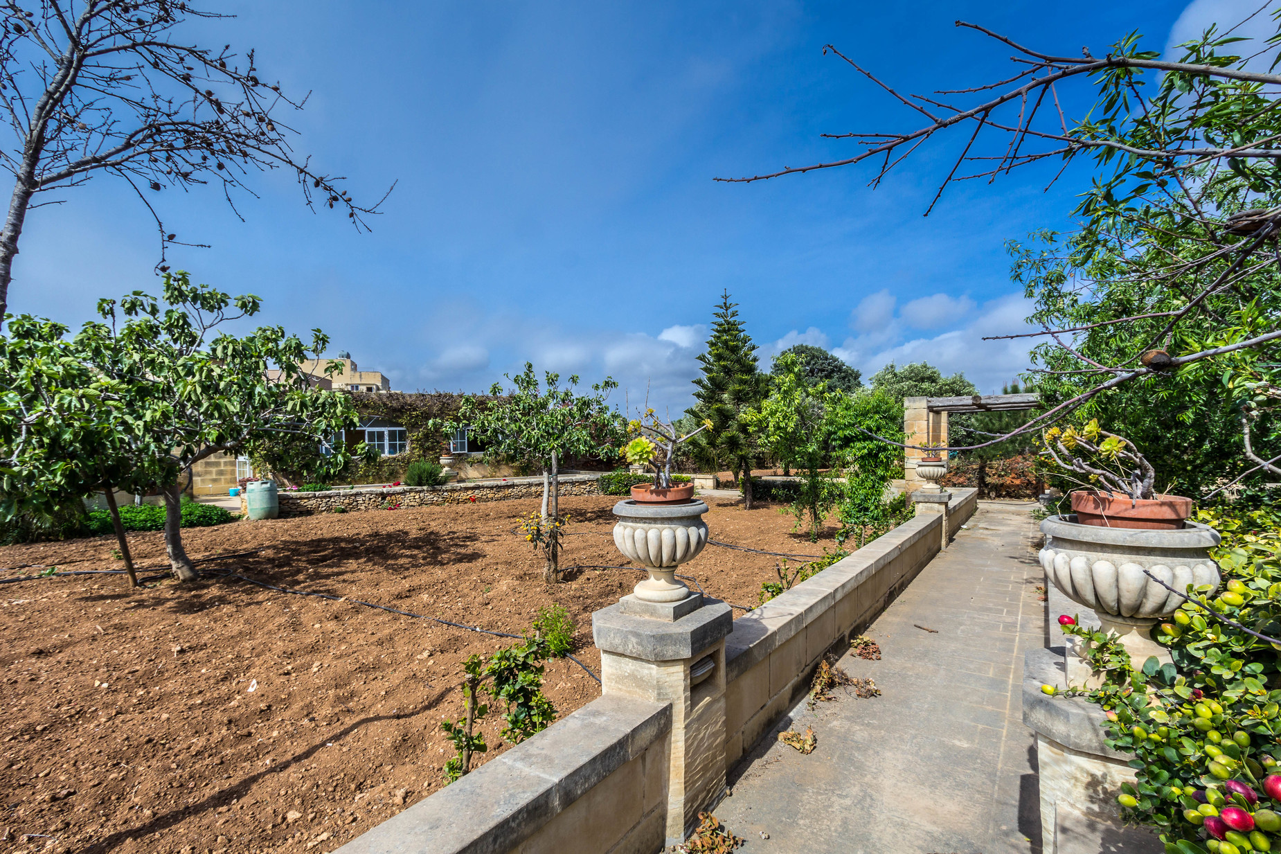 4 Bed Farmhouse For Sale in Zejtun MLS ID 304734 Malta