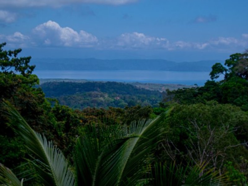 2 bed Commercial For Sale in Osa Peninsula, 