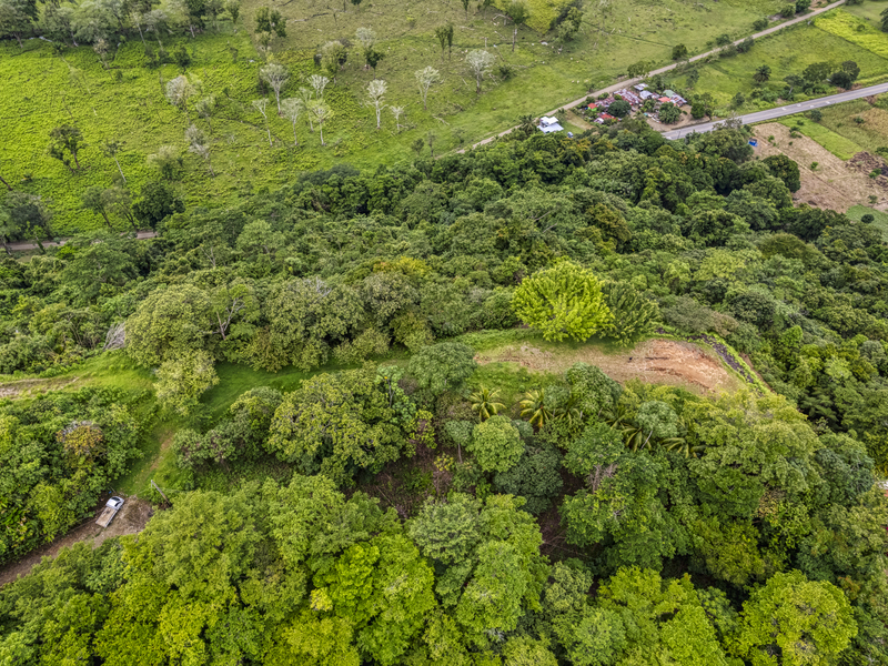 0 bed Lot/Land For Sale in Ojochal, 