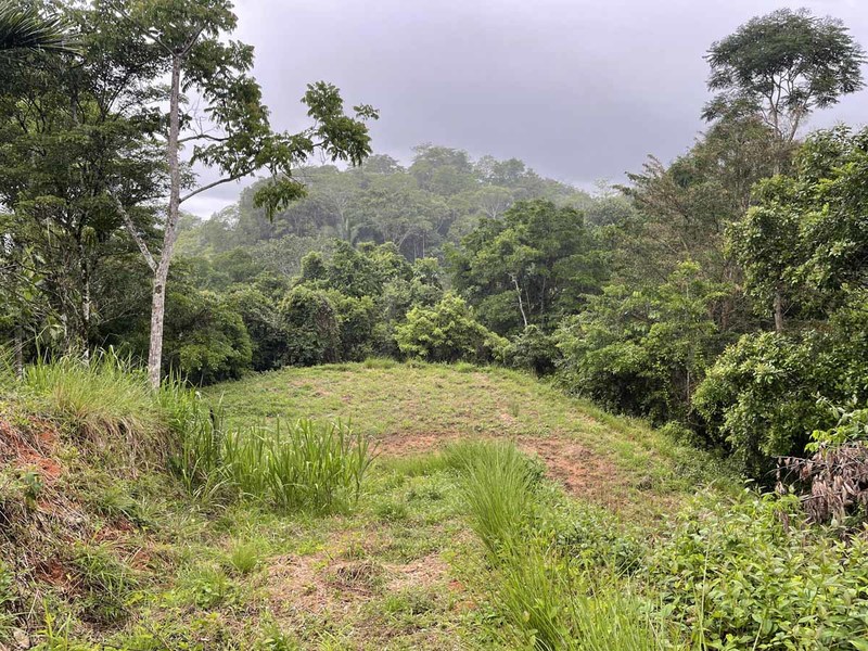 0 bed Lot/Land For Sale in Dominical,  - 1