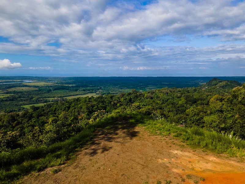 0 bed Lot/Land For Sale in Ojochal,  - 1