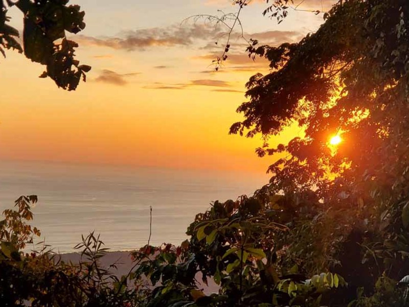 0 bed Lot/Land For Sale in Dominical,  - 1