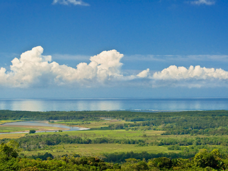 0 bed Lot/Land For Sale in Ojochal,  - 1