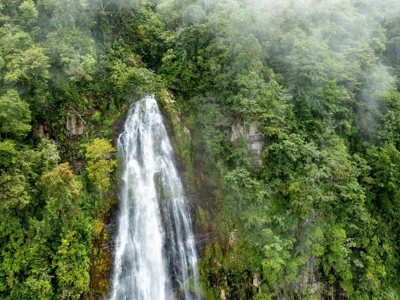 0 bed Lot/Land For Sale in Platanillo,  - 1