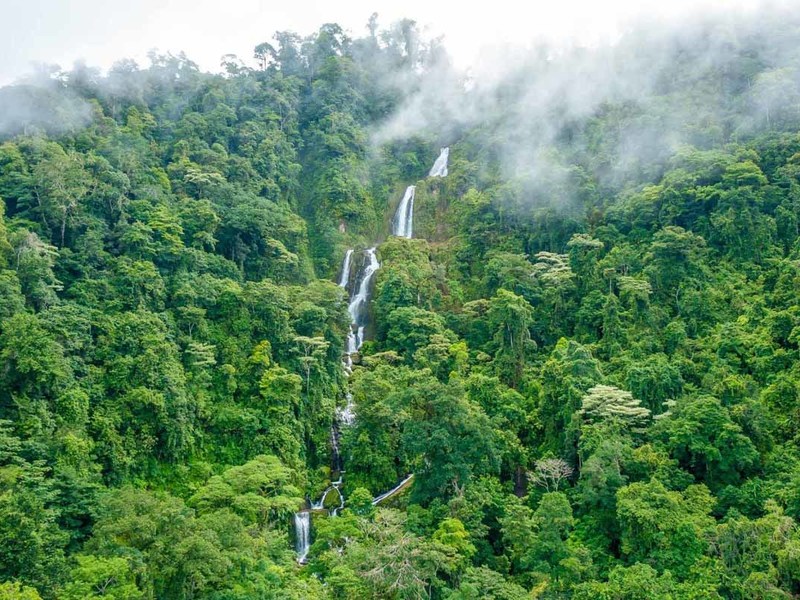 0 bed Lot/Land For Sale in Dominical,  - 1