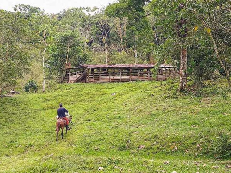 0 bed Lot/Land For Sale in Dominical, 