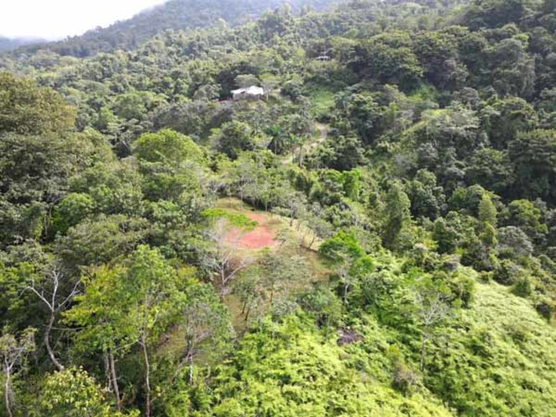 0 bed Lot/Land For Sale in Dominical,  - 1