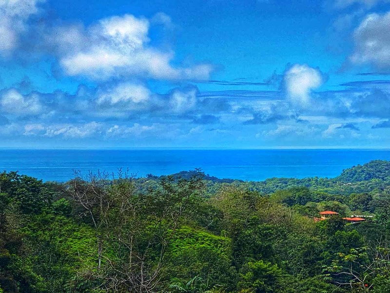 0 bed Lot/Land For Sale in Ojochal,  - 1