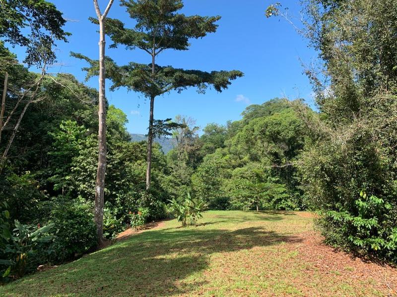 0 bed Lot/Land For Sale in Dominical, 