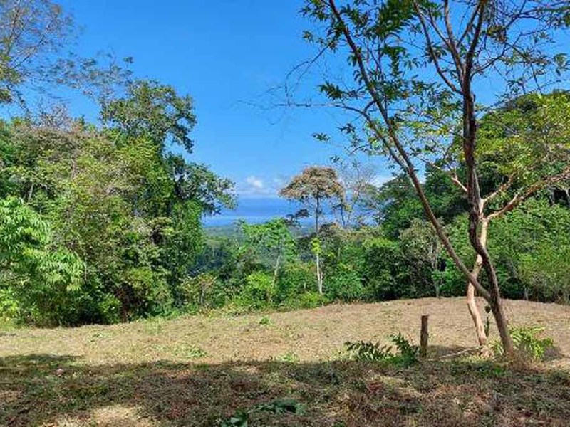 0 bed Lot/Land For Sale in Osa Peninsula,  - 1
