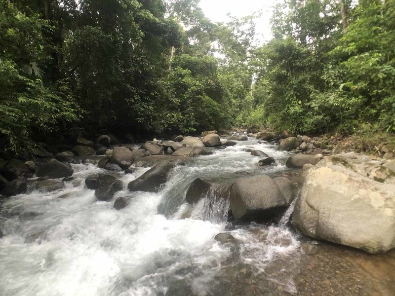 0 bed Lot/Land For Sale in Ojochal,  - 1