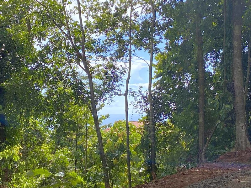 0 bed Lot/Land For Sale in Ojochal,  - 1