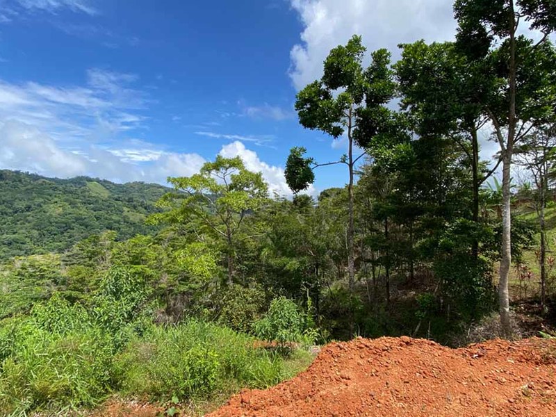 0 bed Lot/Land For Sale in Dominical,  - 1