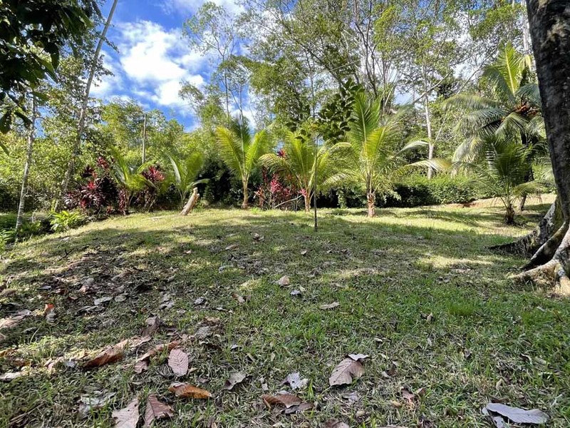 0 bed Lot/Land For Sale in Ojochal,  - 1