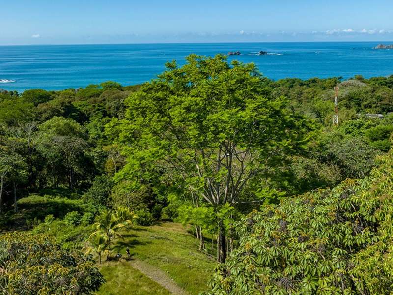 0 bed Lot/Land For Sale in Uvita,  - 1