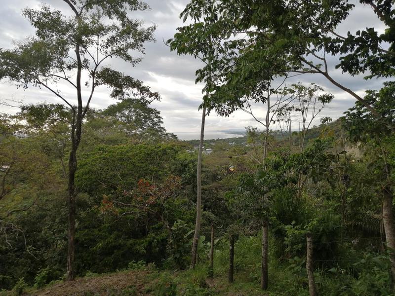 0 bed Lot/Land For Sale in Quepos,  - 1