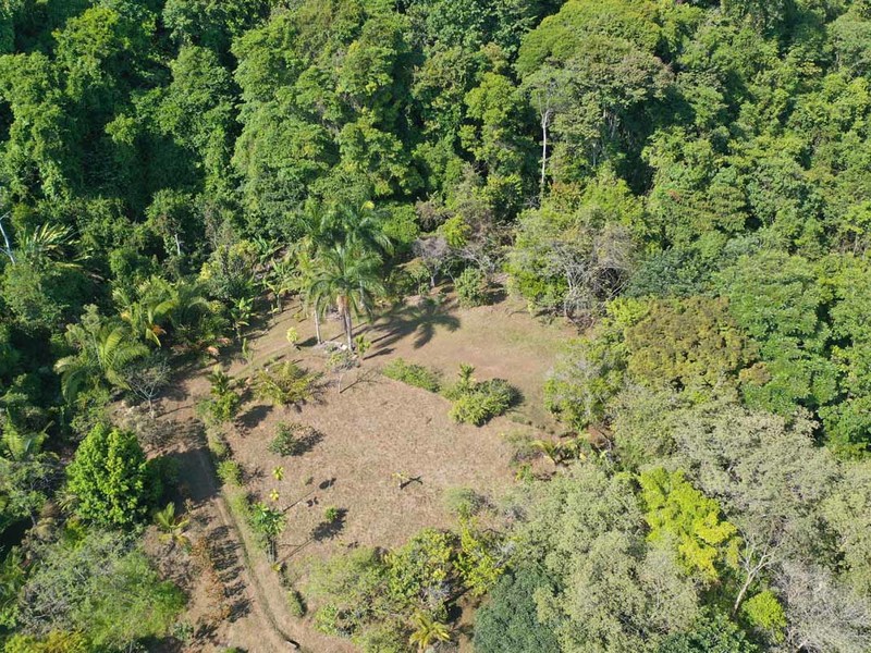 0 bed Lot/Land For Sale in Dominical,  - 1