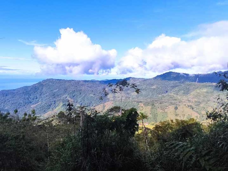 0 bed Lot/Land For Sale in Uvita,  - 1