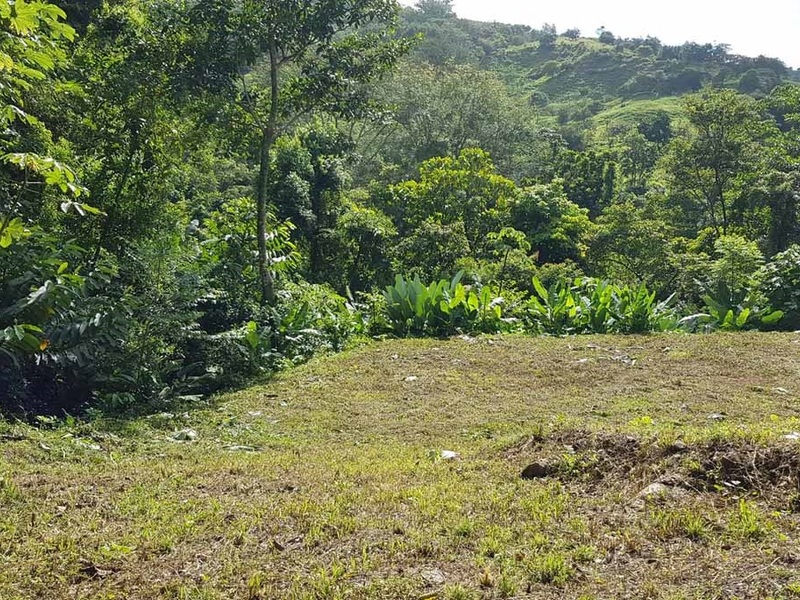 0 bed Lot/Land For Sale in Uvita,  - 1
