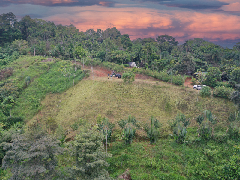 0 bed Lot/Land For Sale in Dominical,  - 1