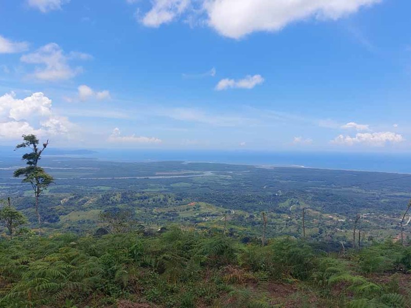 0 bed Lot/Land For Sale in Ojochal,  - 1