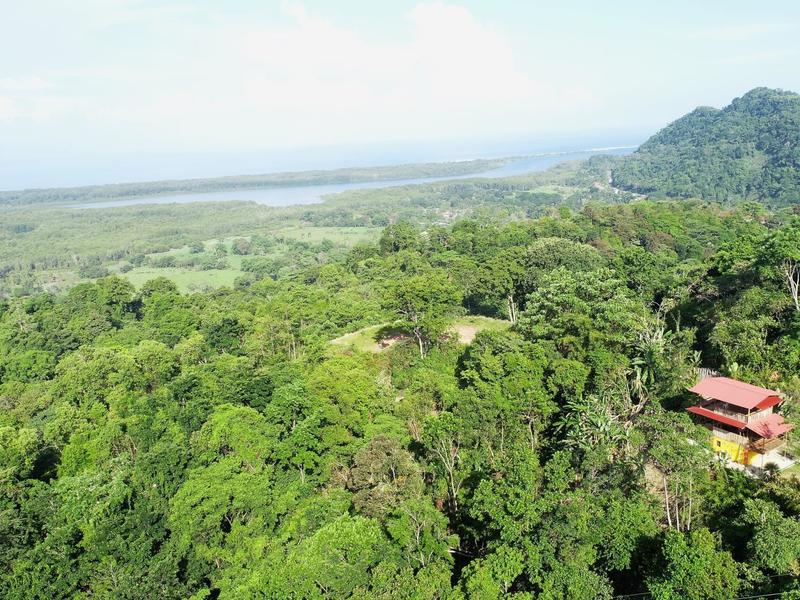 1 bed Home For Sale in Ojochal,  - 1