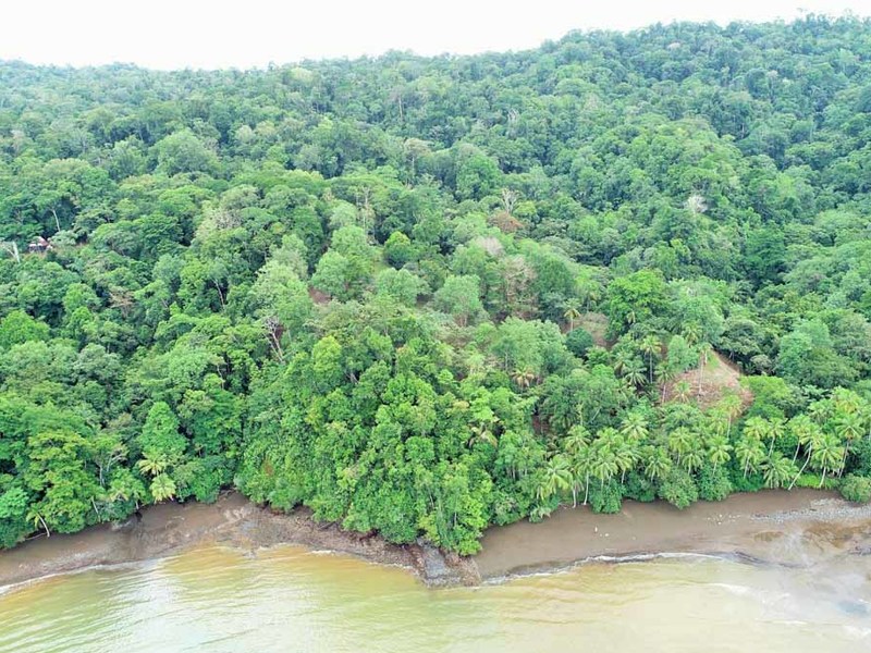 2 bed Lot/Land For Sale in Osa Peninsula, 