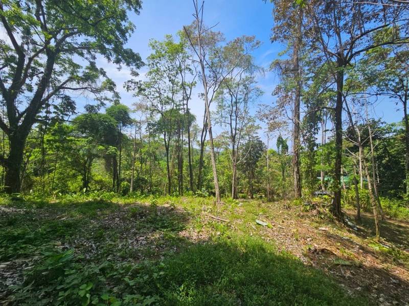 0 bed Lot/Land For Sale in Uvita,  - 1