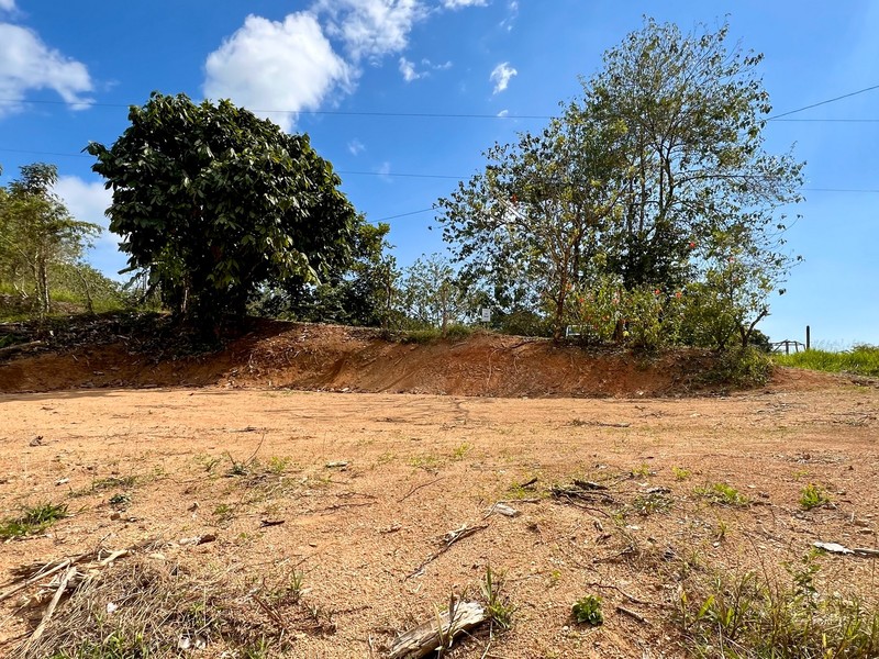 0 bed Lot/Land For Sale in Uvita,  - 1