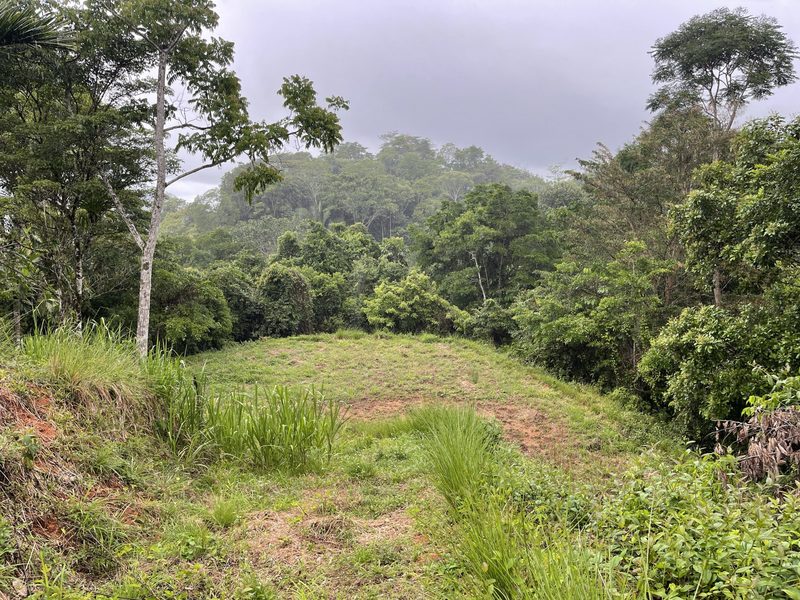 0 bed Lot/Land For Sale in Dominical,  - 1