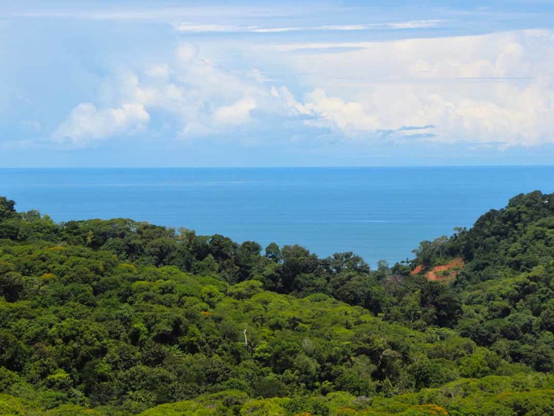 0 bed Lot/Land For Sale in Ojochal,  - 1