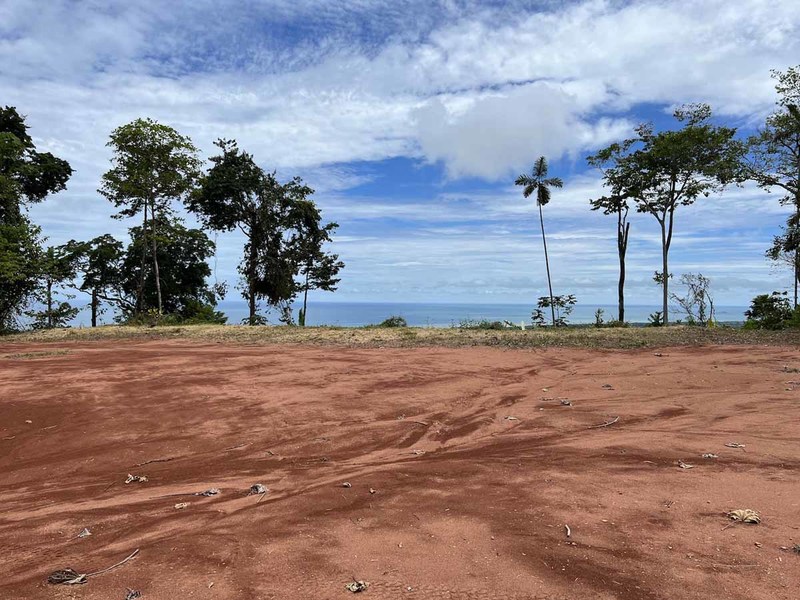 0 bed Lot/Land For Sale in Dominical,  - 1