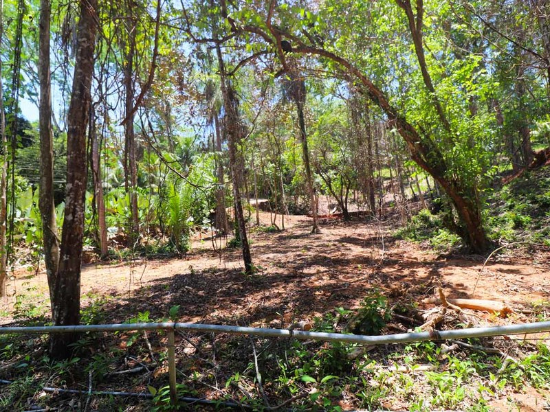 0 bed Lot/Land For Sale in Ojochal,  - 1