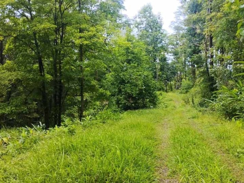 0 bed Lot/Land For Sale in Uvita, 