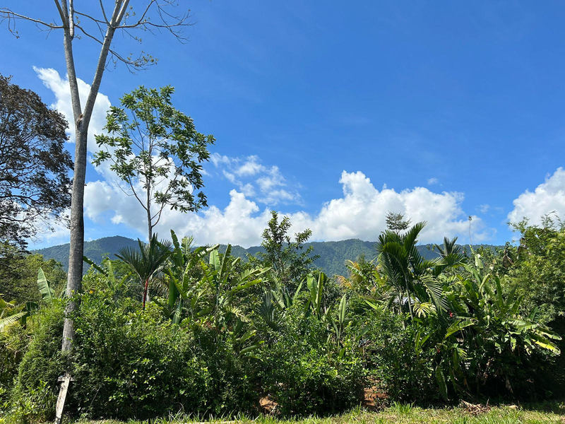 0 bed Lot/Land For Sale in Ojochal, 