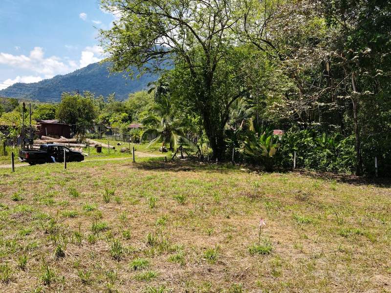 0 bed Lot/Land For Sale in Ojochal,  - 1